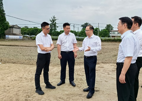 胡云赴眉山调研耕地；だ煤透叱叨扰┨锝ㄉ韫ぷ